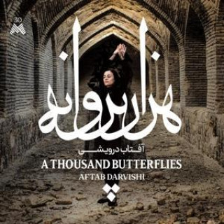 Audio A Thousand Butterflies 