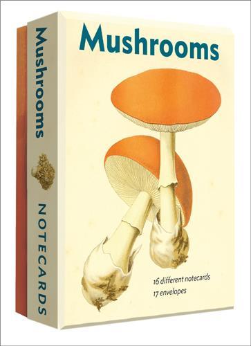 Tiskovina Mushrooms Detailed Notecard Set ABBEVILLE PRESS