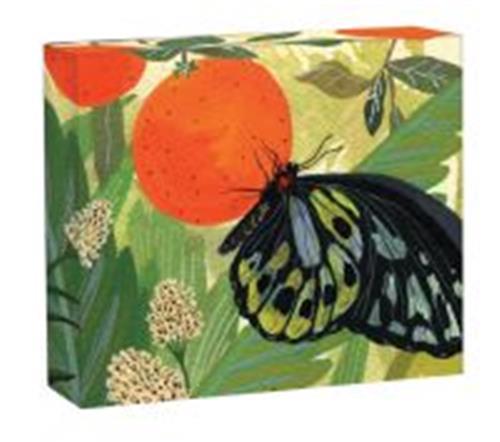 Tiskani izdelki Butterflies QuickNotes STADTLANDER BECCA