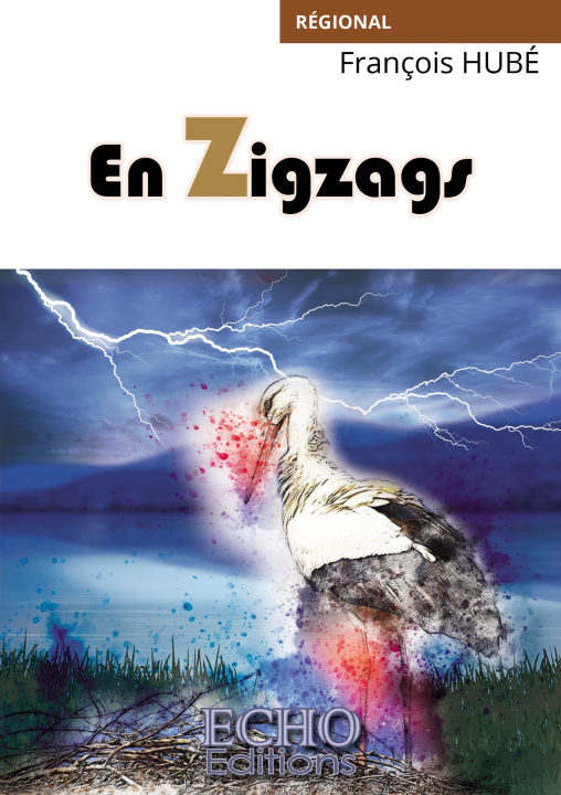 Livro En zigzags François HUBÉ