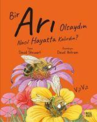 Buch Bir Ari Olsaydin Nasil Hayatta Kalirdin 