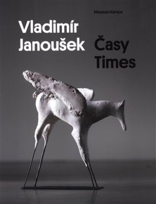Könyv Vladimír Janoušek - Časy Times Karel Srp