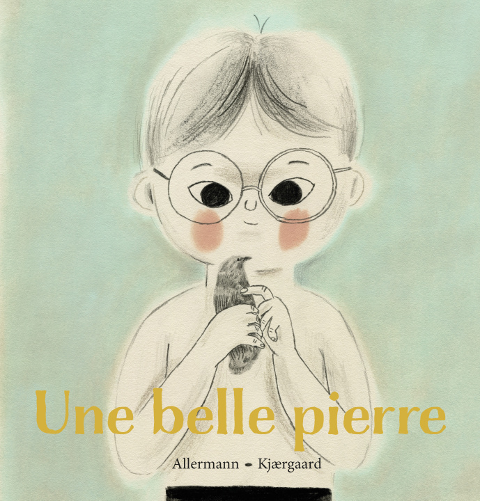 Knjiga Une belle pierre ANNE SOFIE  ALLERMANN