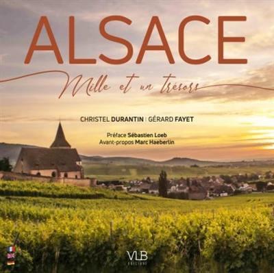 Knjiga ALSACE GERARD FAYET