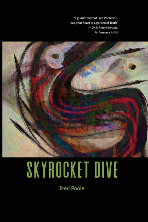 Kniha Skyrocket Dive Fred Poole