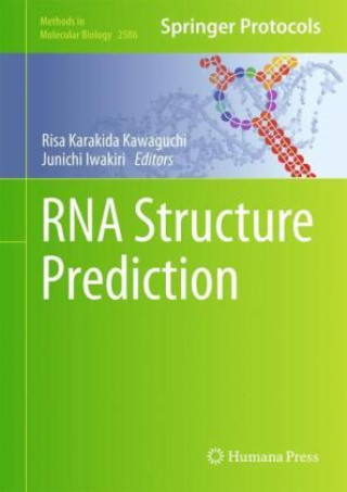 Knjiga RNA Structure Prediction Risa Karakida Kawaguchi