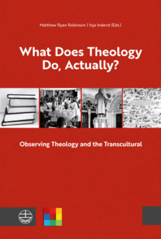 Kniha What Does Theology Do, Actually? Matthew Ryan Robinson