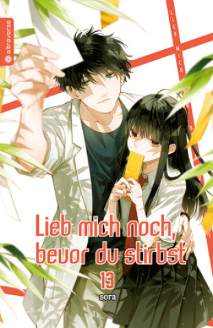 Book Lieb mich noch, bevor du stirbst 13 sora