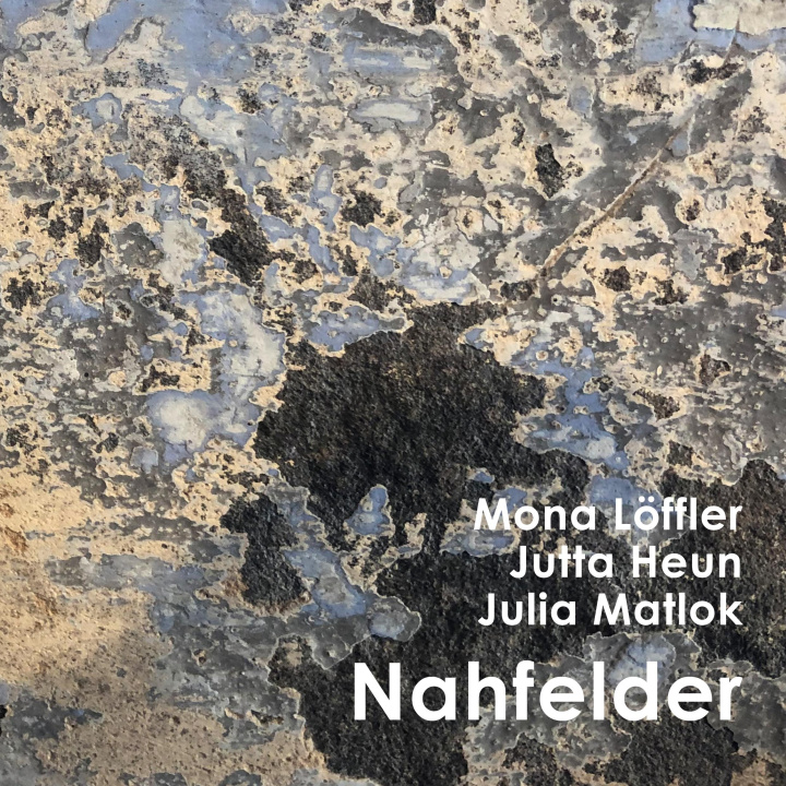 Knjiga Nahfelder Mona Löffler