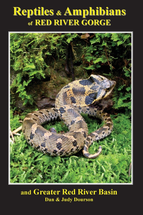 Kniha Reptiles and Amphibians of Red River Gorge & Greater Red River Basin Judy Dourson