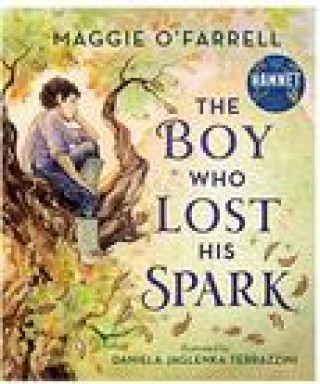 Könyv Boy Who Lost His Spark Daniela Jaglenka Terrazzini