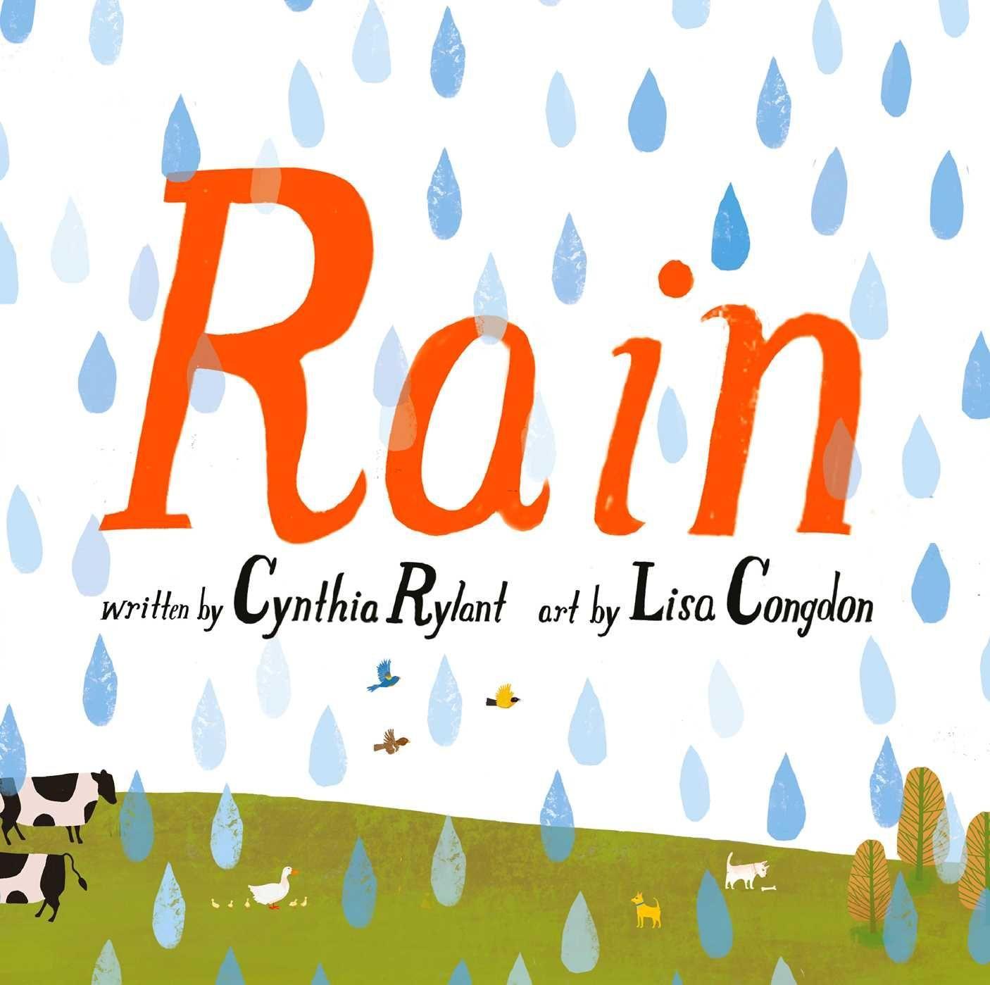 Buch Rain Lisa Congdon