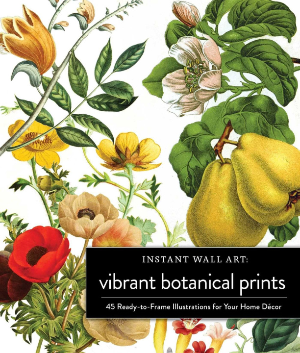 Carte Instant Wall Art Vibrant Botanical Prints 