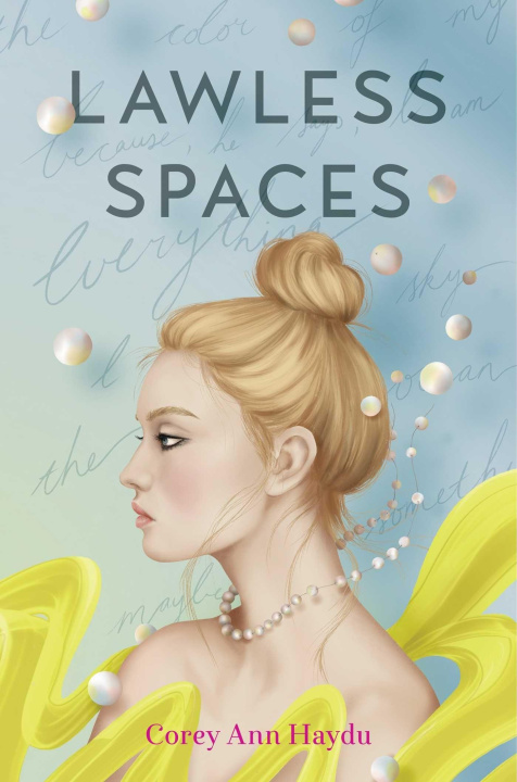 Knjiga Lawless Spaces Haydu