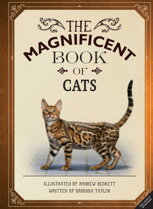 Carte The Magnificent Book of Cats: (Kids Books about Cats, Middle Grade Cat Books, Books about Animals) Andrew Beckett