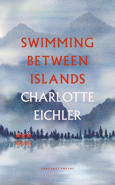 Книга Swimming Between Islands 