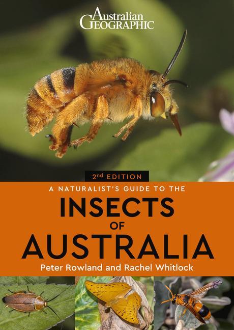 Carte Naturalist's Guide to the Insects of Australia 