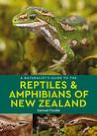 Book Naturalist's Guide to the Reptiles & Amphibians Of New Zealand 