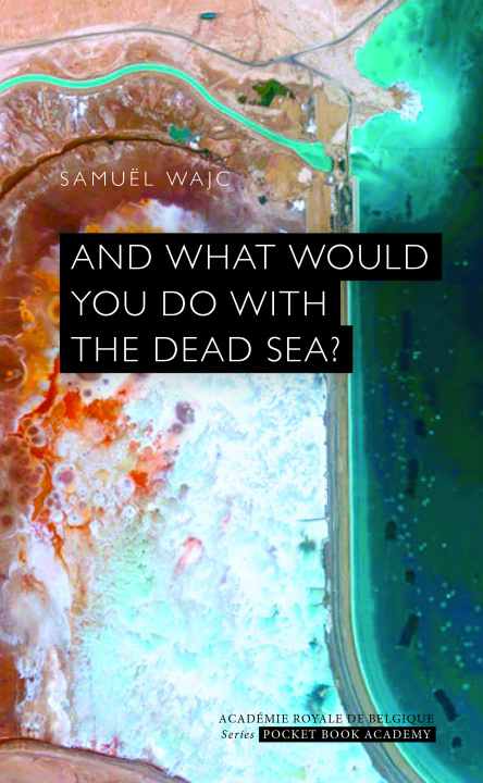 Book And what would you do with the Dead Sea ? WAJC