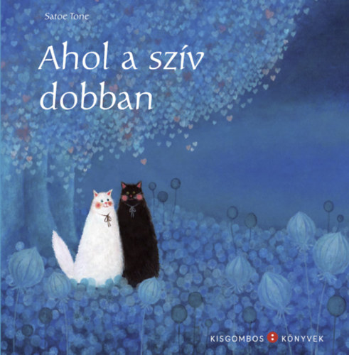 Book Ahol a szív dobban Satoe Tone