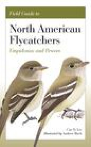 Kniha Field Guide to North American Flycatchers Cin–ty Lee