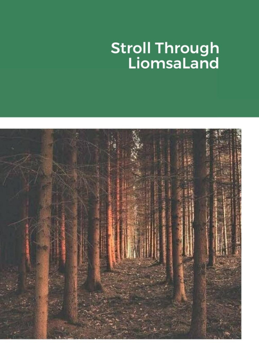 Buch Stroll Through LiomsaLand Rev Liomsa