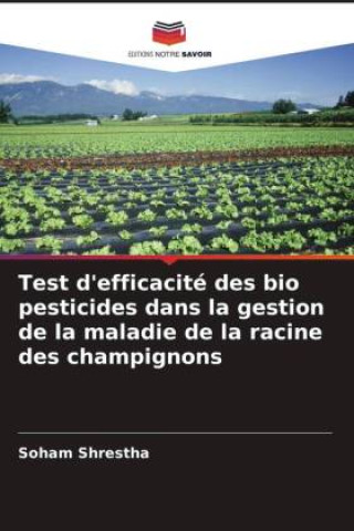 Kniha Test d'efficacité des bio pesticides dans la gestion de la maladie de la racine des champignons 