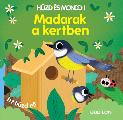 Buch Húzd és mondd! - Madarak a kertben 