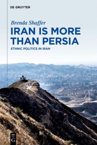 Kniha Iran is More Than Persia Brenda Shaffer