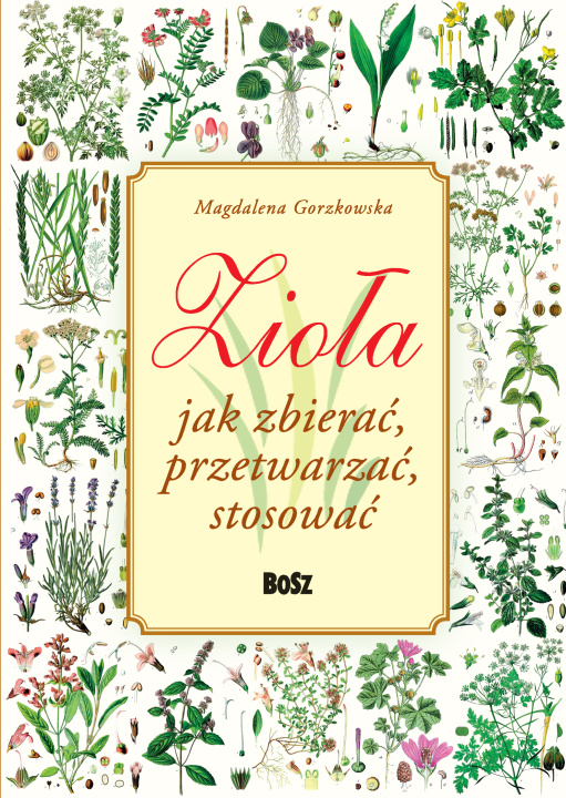 Książka Zioła. Jak zbierać, przetwarzać, stosować Magdalena Gorzkowska