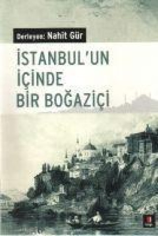 Kniha Istanbulun Icinde Bir Bogazici 