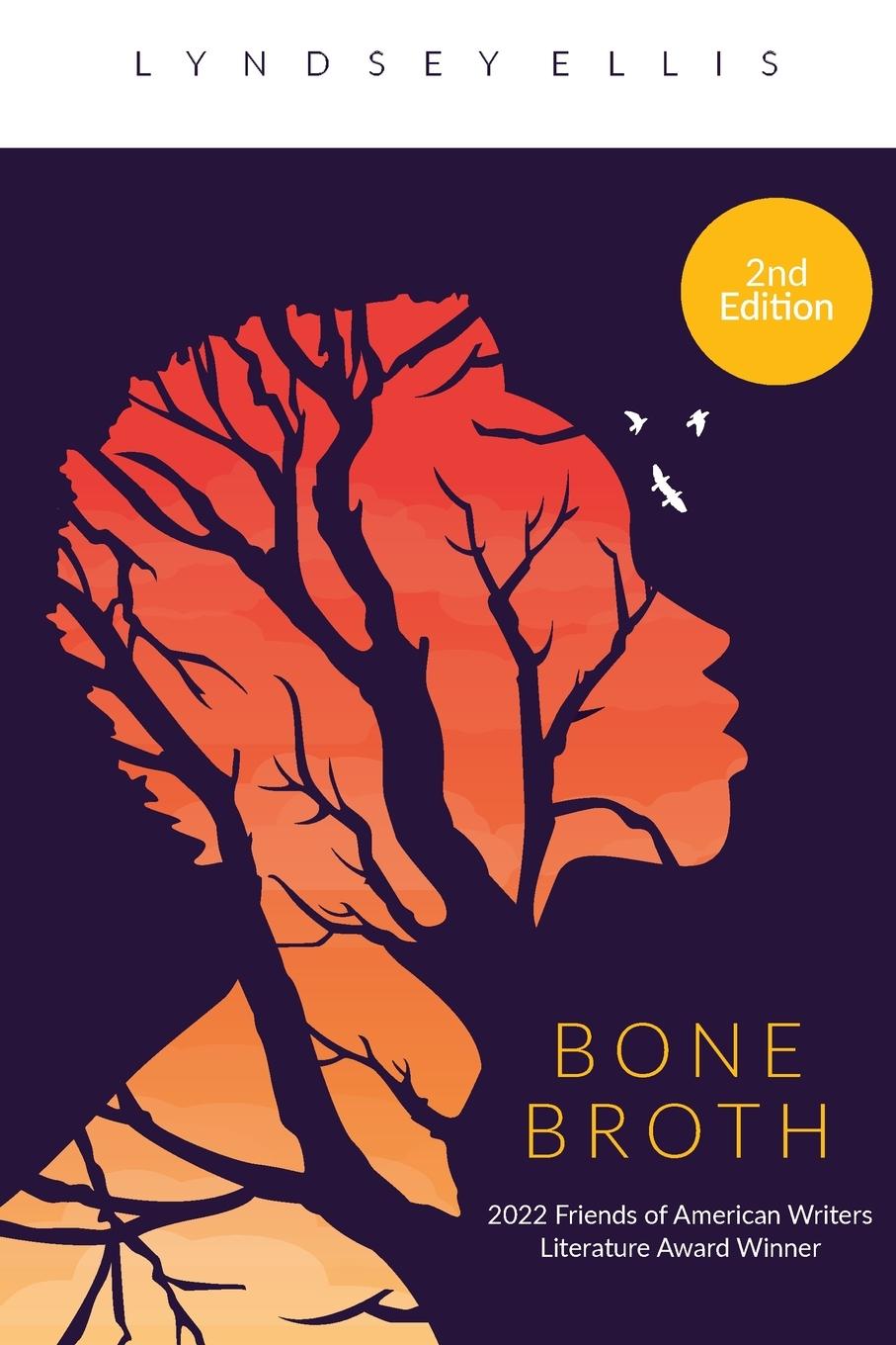 Buch Bone Broth Lyndsey Ellis
