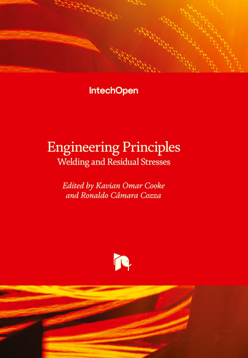 Knjiga Engineering Principles Ronaldo Câmara Cozza