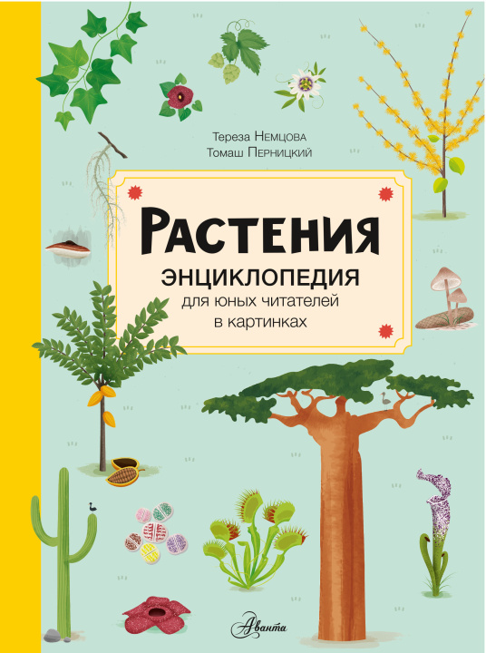 Libro Растения Т. Немцова