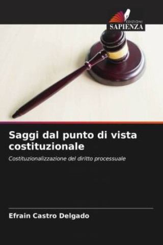 Buch Saggi dal punto di vista costituzionale Efrain Castro Delgado