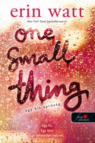 Kniha One Small Thing - Egy kis apróság Erin Watt