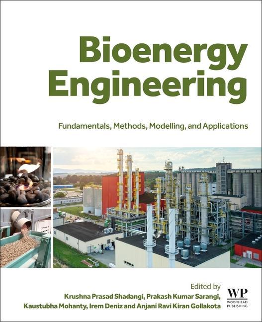 Kniha Bioenergy Engineering Krushna Shadangi
