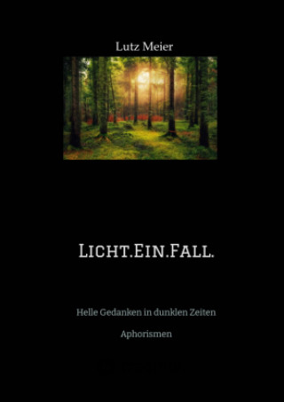 Knjiga Licht.Ein.Fall. Lutz Meier