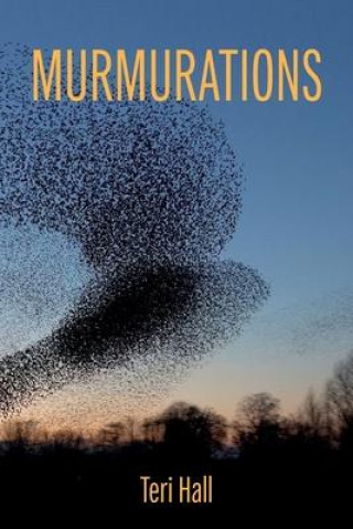 Book Murmurations Teri Hall