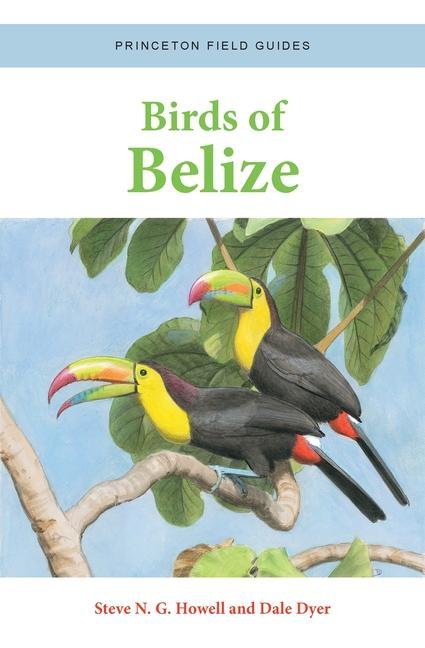 Carte Birds of Belize Dale Dyer