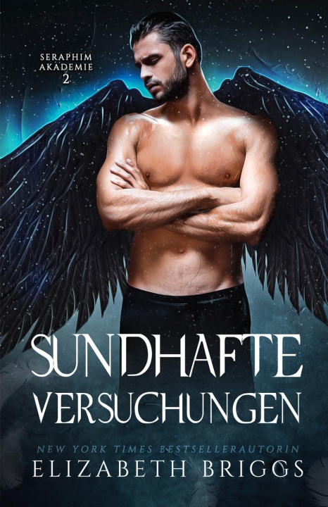 Book Sündhafte Versuchungen Elizabeth Briggs