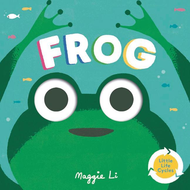 Book Frog Maggie Li