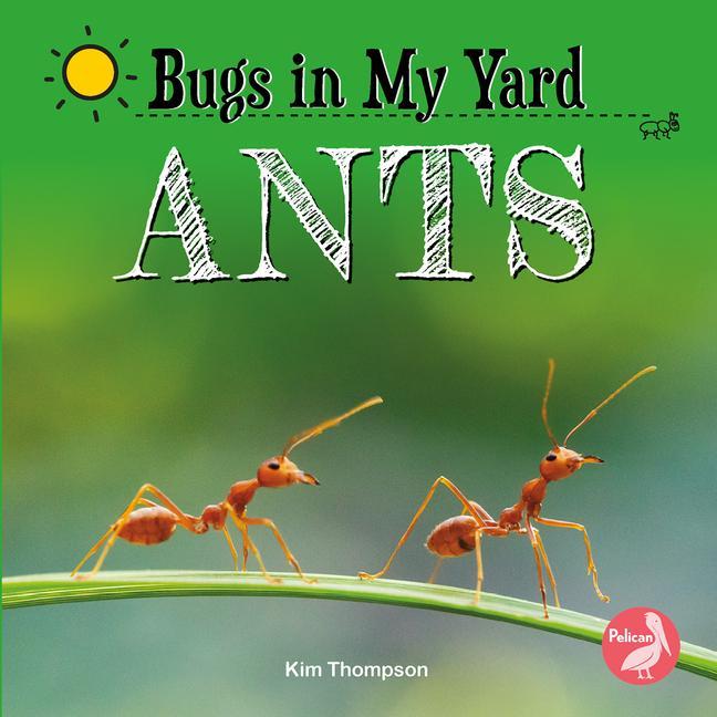Knjiga Ants 