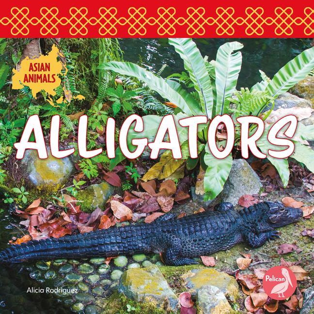 Knjiga Alligators 