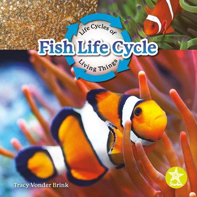 Knjiga Fish Life Cycle 