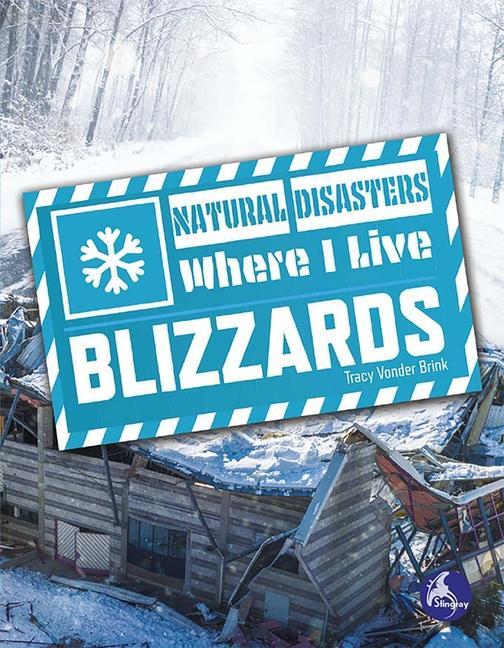 Książka Blizzards 