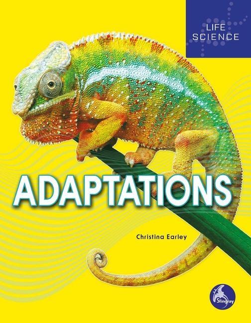 Knjiga Adaptations 
