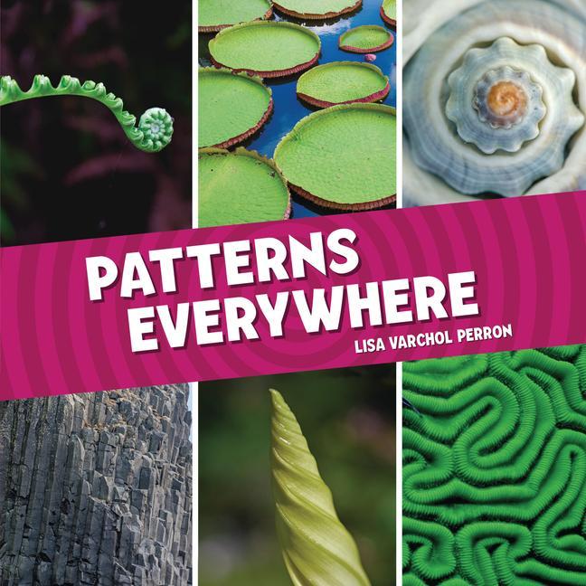 Knjiga Patterns Everywhere 