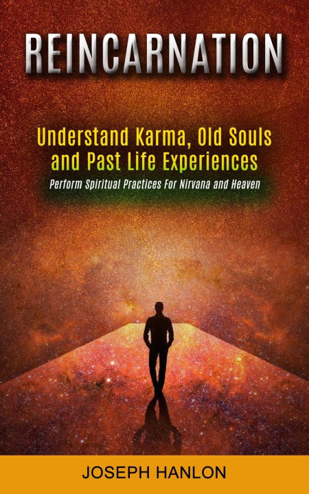 Knjiga Reincarnation Joseph Hanlon