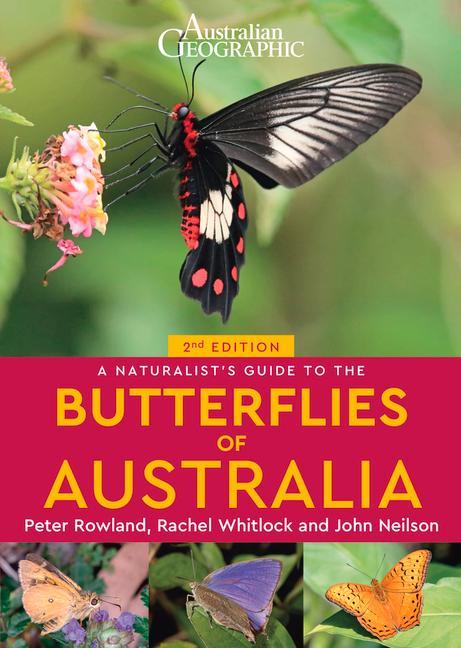 Carte A Naturalist's Guide to the Butterflies of Australia (2nd) John Nielsen